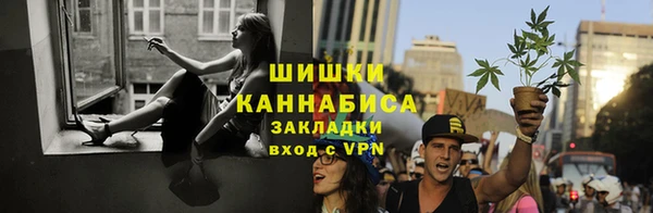 тгк Лагань