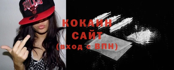 тгк Лагань