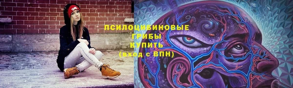 тгк Лагань